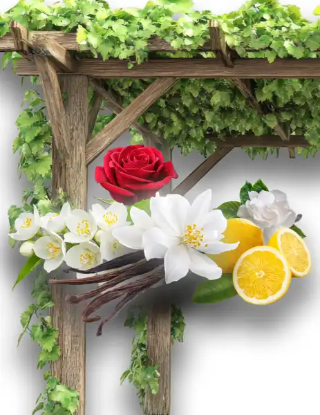 Terrace Garden Clean Fragrance - Clean Fragrances